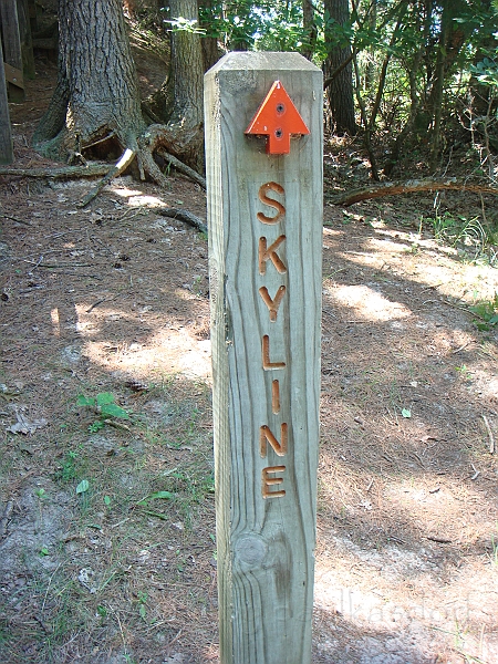 Western Michigan [2010] 022.JPG - Scenes from our trip to Western Michigan. Some places along the way were Ludington, Sleep Bear Dunes, and Traverse City.